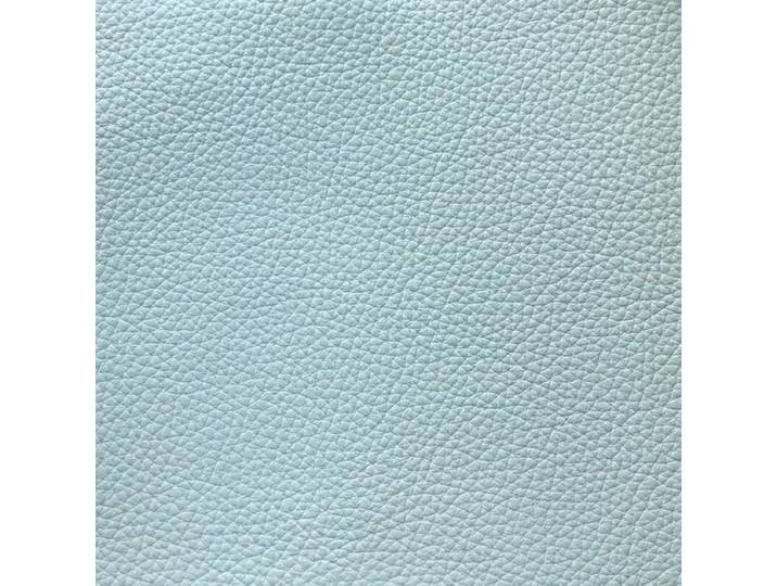 Akad'or Swing Relaxsessel - Leder Longlife E soft aqua - Small 2 Motoren, Kipptaster, Kopfteilverstellung Modern