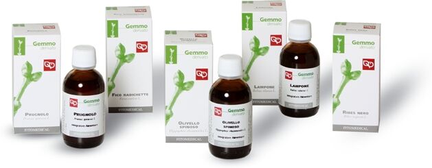 Fitomedical Ribes nero (Ribes nigrum L.) gemmoderivato
