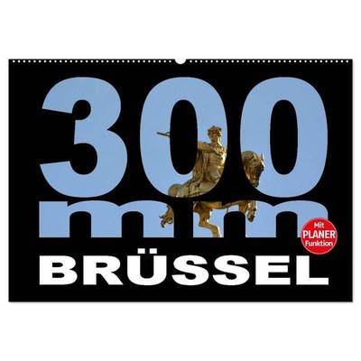 300mm - Brüssel (Wandkalender 2027 DIN A2 quer), CALVENDO Monatskalender