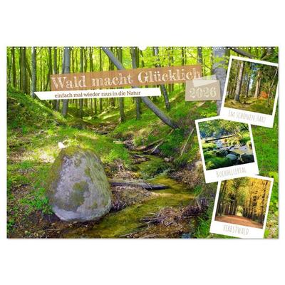 Wald macht glücklich (Wandkalender 2026 DIN A2 quer), CALVENDO Monatskalender
