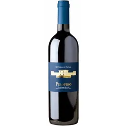 Pelofino Fattoria Le Pupille 2024
