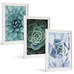 BILDER SET 3er Set - 40x60 cm Weißer Rahmen - Sukkulente Pflanzen grün türkis
