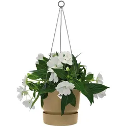 Elho, Blumentopf, Greenville Haengeampel (24 x 21 cm)