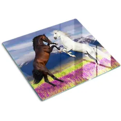 GLASPLATTE 60x52 cm Pferdeberge