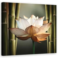 WANDBILD blume zen bambus