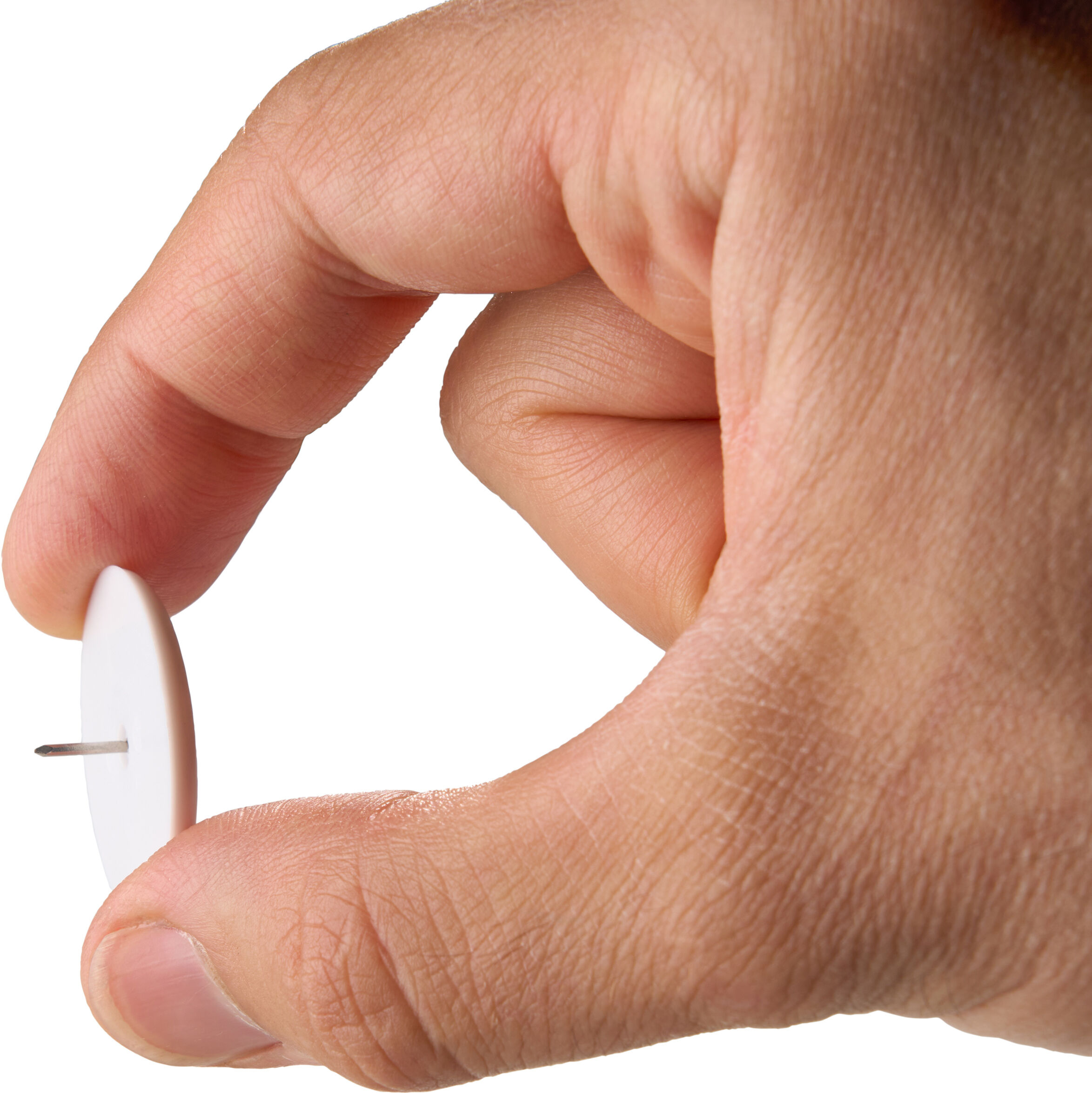 SPRINTIS 100 Unités - Punaises, ø = 30 mm 100 pièces en vrac par sachet   blanc   plastique, acier
