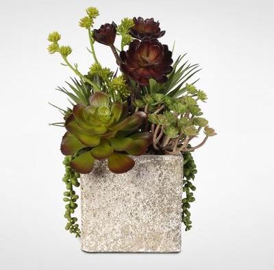 Succulent, Hen, and Chicks Coastal Cottage Arrangement in Stone Pot