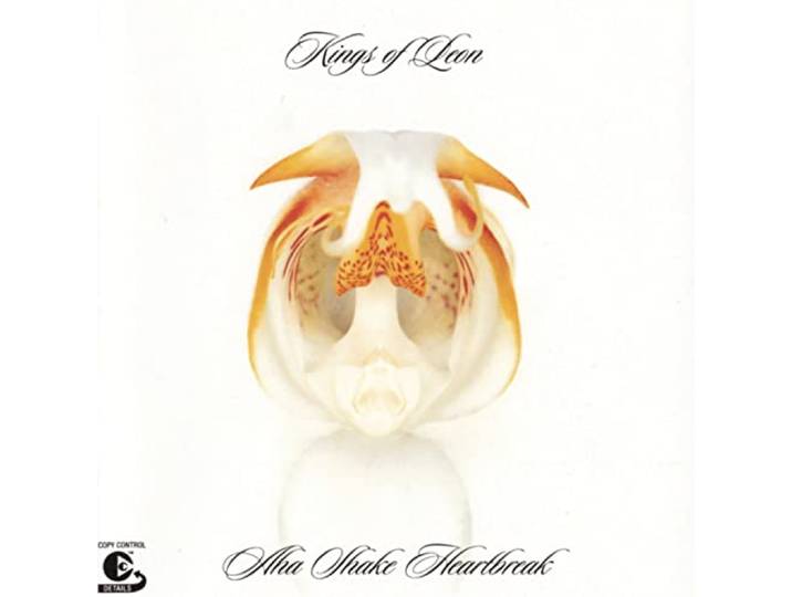 Kings Of Leon - Aha Shake Heartbreak