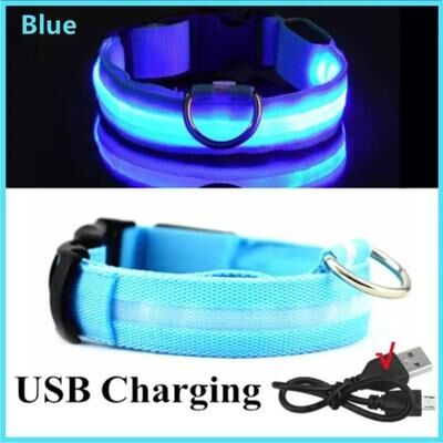 Uplift Essentials LED Glowing Dog Collar Adjustable Night Safety Luminous Collar blue 2xl