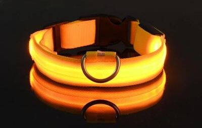Uplifted Finds Nylon LED Night Safety Glow Dog Leash And Collar l yellow