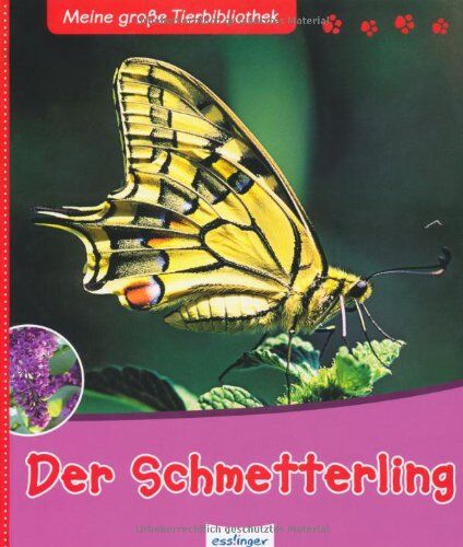 Valérie Tracqui - Meine große Tierbibliothek: Der Schmetterling - Preis vom 02.10.2026 23:42:20 h