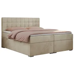 BOXBETT CARMEN 160/200 Beige Velvet - H3