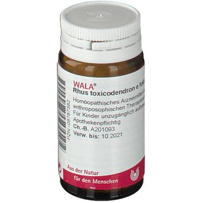 Rhus Toxicodendron E foliis D 12 Globuli 20 g