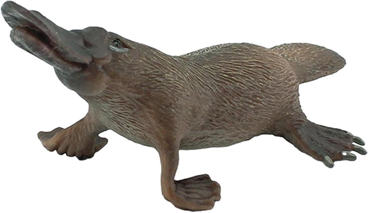 Bruin Platypus Beeldje voor Kinderen - 17,5 cm