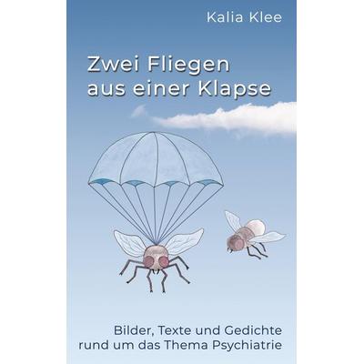 Zwei Fliegen aus einer Klapse, Gebundene Ausgabe von Kalia Klee, Tredition, 978-3-384-86556-4