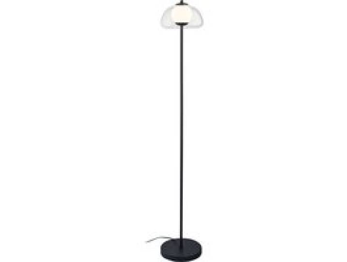 LIVARNO HOME Lampadaire à LED (transparent)