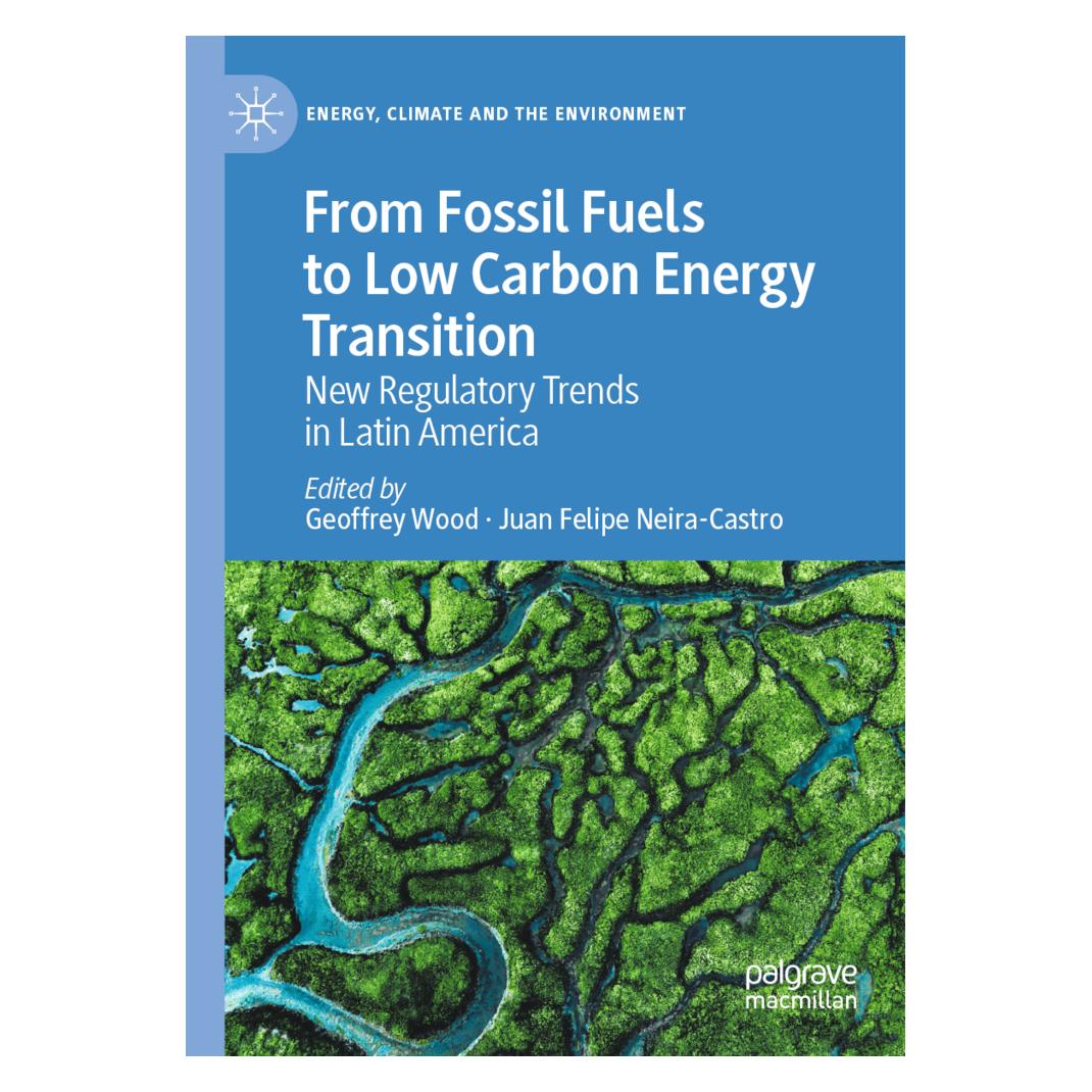 Springer From Fossil Fuels to Low Carbon Energy Transition (Englisch, Softcover, Geoffrey Wood, Juan Felipe Neira-Castro) (56963588)