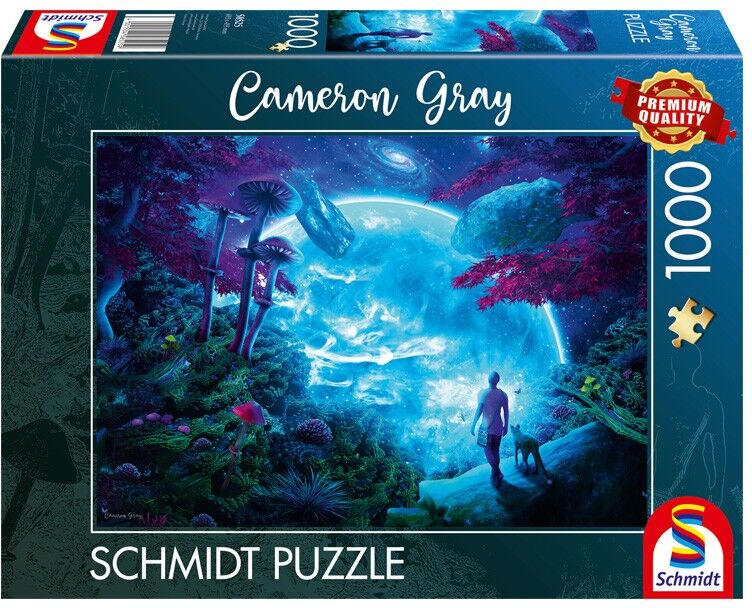 Puzzle 1000 pcs Rêveries célestes Schmidt