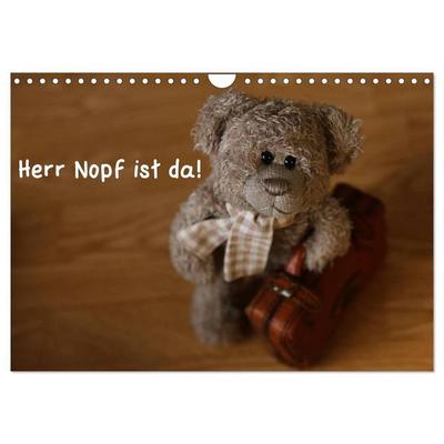 Herr Nopf ist da! (Wandkalender 2027 DIN A4 quer), CALVENDO Monatskalender