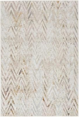 Nourison Glam Indoor Multicolored Chevron Area Rug