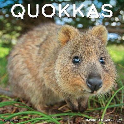 Quokkas 2026 Wall Calendar