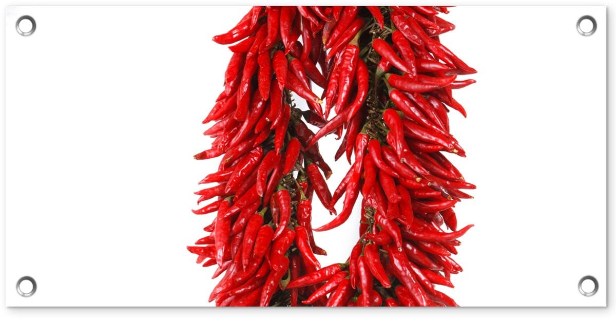 Tuinposter Cayennepepers Capsicum frutescens - Tuindecoratie voor buiten - Breedte: 60 cm, Hoogte: 30 cm
