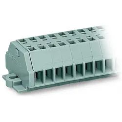 WAGO GmbH &amp; Co. KG 2-Leiter-Klemmenleiste 260-111