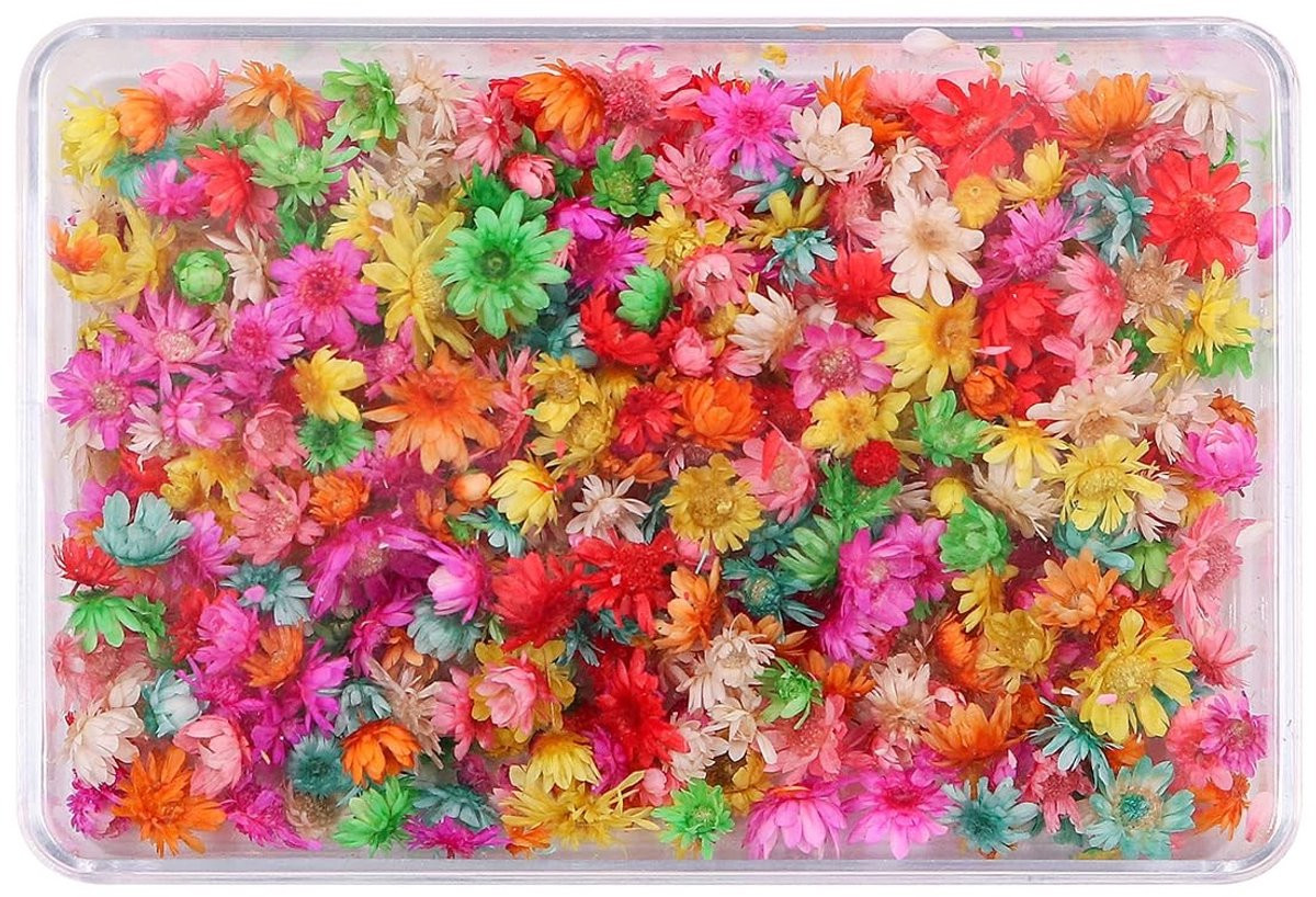 MTTproducts 200 stuks mini droogbloemen - kleurrijke natuurlijke bloemen voor decoratie en kaarten - 120 gram