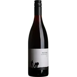 Cuvée Noir Dornfelder & Merlot Weingut Pflüger 2024 BIO