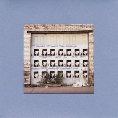 Goodbye Enemy Airship The Land - Do Make Say Think, Vinyl