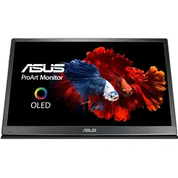 ASUS PQ22UC (3840 x 2160 Pixel, 22"), Monitor, Grau
