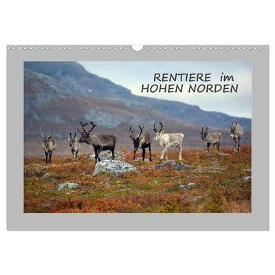 Rentiere im Hohen Norden (Wandkalender 2027 DIN A3 quer), CALVENDO Monatskalender
