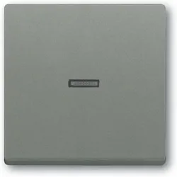 Busch-Jaeger Wippe 1789 N-803 2CKA001751A3146