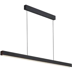 LED-PENDELLEUCHTE Reutlinger 108.5/4.6/4.6cm