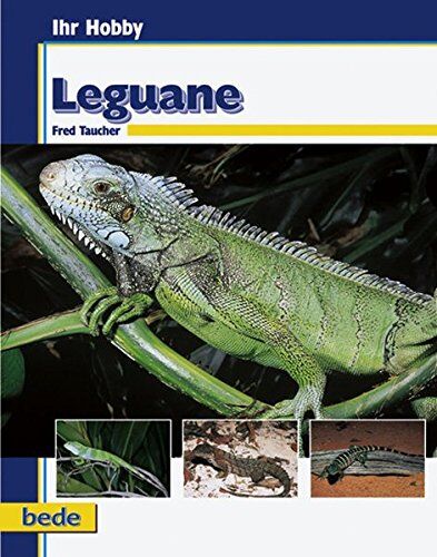 Fred Taucher - Leguane, Ihr Hobby - Preis vom 09.10.2026 07:28:09 h