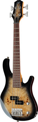 Flight Mini Bass PBR Maserpappel