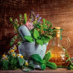 EUROART Glasbild 50 x cm Herbs and spices XV Glas Braun