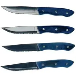 Amefa Hercules 4-teiliges Steakmesser-Set, Besteck