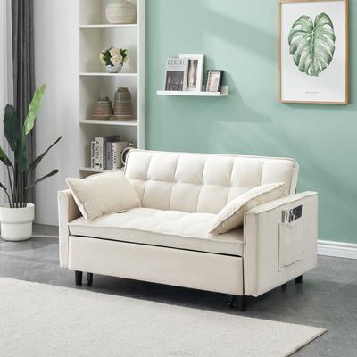 Loedds 55-Inch Velvet 3-in-1 Pull-Out Sleeper Loveseat with Side Pockets and 2 Pillows