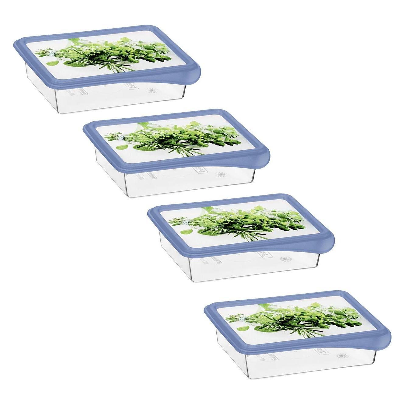 Rotho Set Gefrierdosen Kräuter (0.20 l) (47940040)