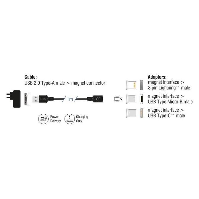 Delock Magnetisches Ladekabel Set für 8 Pin Lightning / Micr (1 m, USB 2.0, 15 W) (88165)