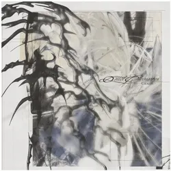 Wichita Recordings, Schallplatten, QUIET PLEASURES (CVNL) (FRPM) (Glixen)