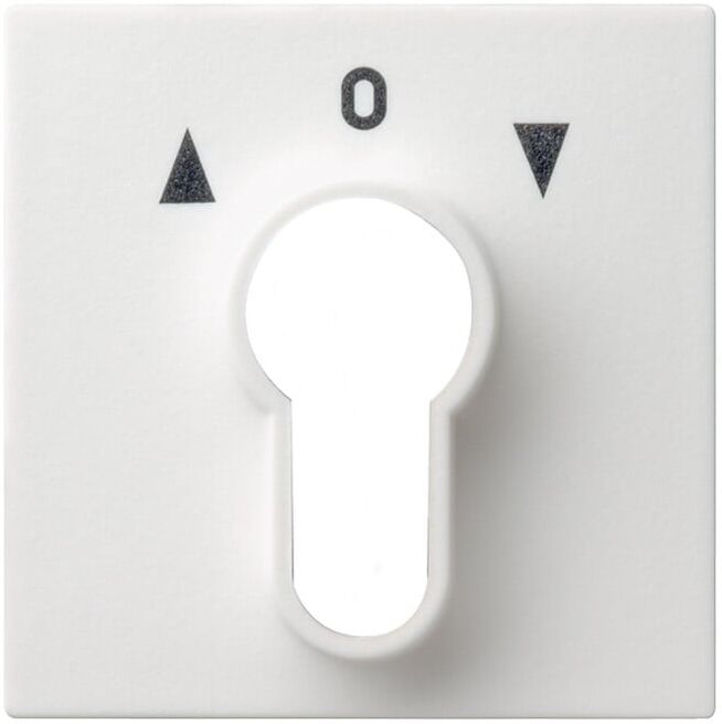 Gira Plaque centrale rws-gl pour interrupteur à clé 066403 (066403)