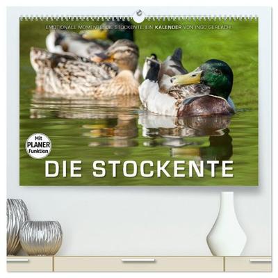 Emotionale Momente: Die Stockente. (hochwertiger Premium Wandkalender 2027 DIN A2 quer), Kunstdruck in Hochglanz