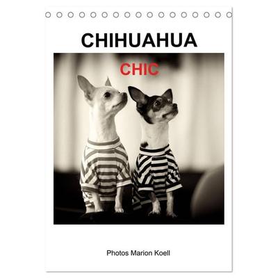 CHIHUAHUA CHIC Photos Marion Koell (Tischkalender 2026 DIN A5 hoch), CALVENDO Monatskalender
