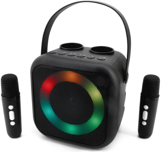 Soundmaster Enceinte karaoké portable BT2024SW noire (BT2024SW)