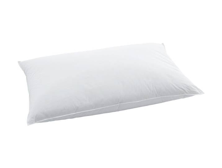 Billerbeck Edition John 65x65cm Kissen