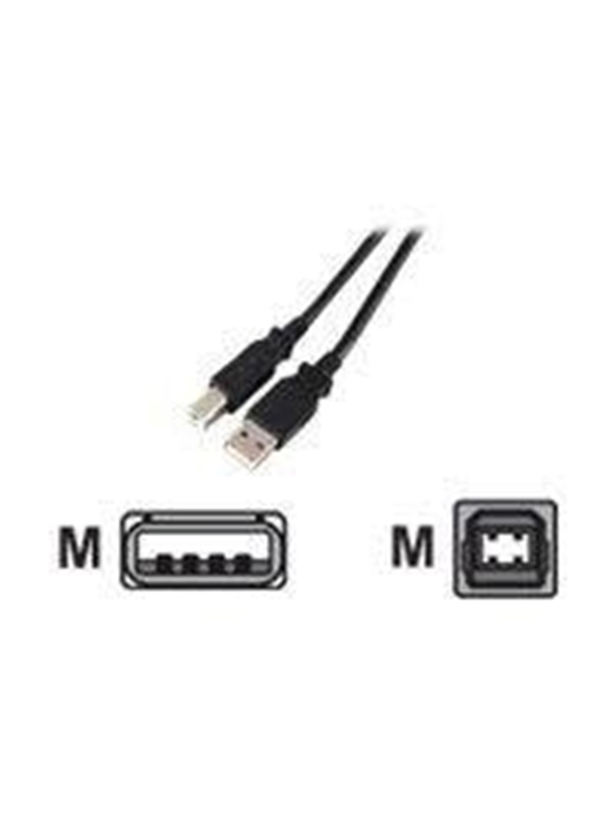 EFB NORDIC EFB-Elektronik - USB cable - USB to USB Type B - 3 m