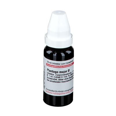 Plantago Major Urtinktur 20 ml Dilution