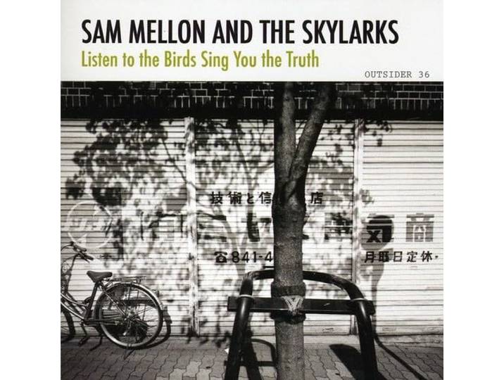 Listen to the Birds Sing You the Truth